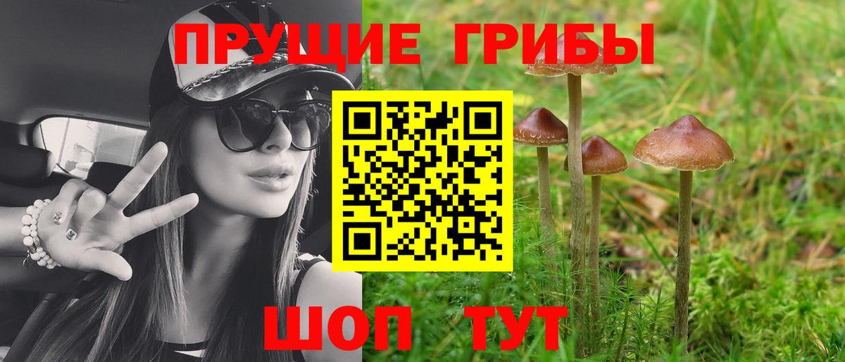 Менделеевск  Галлюциногенные грибы прущие грибы  Вход с VPN 