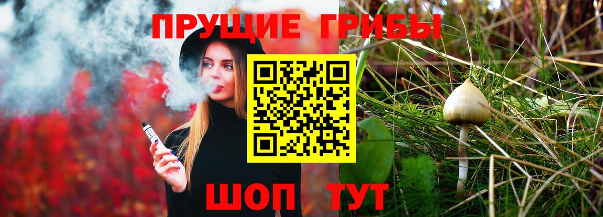 Галлюциногенные грибы GOLDEN TEACHER Менделеевск