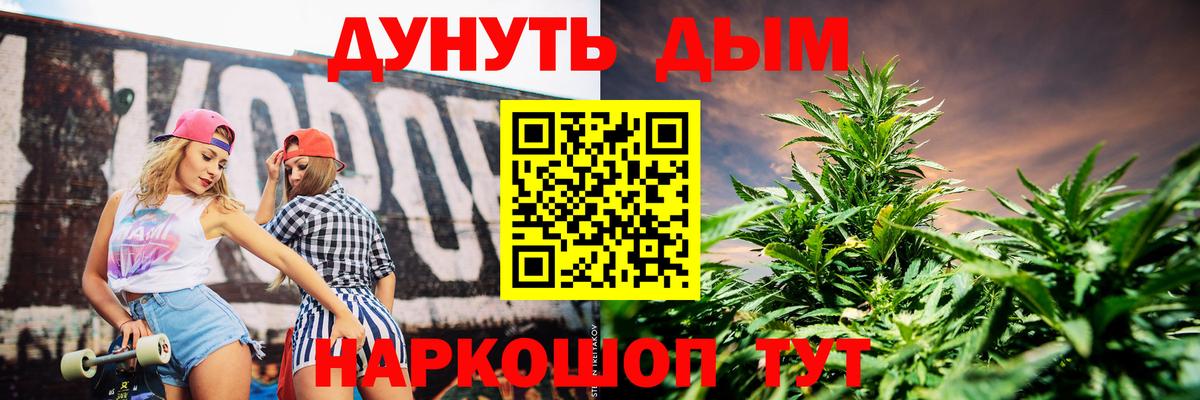 Бошки марихуана планчик  Вход с VPN  Шишки марихуана THC 21%  Менделеевск  Конопля Bruce Banner 